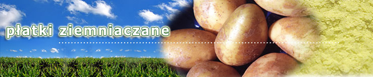 Wimpex Dębica - płatki ziemniaczane. Oferujemy szeroki wybór płatków ziemniaczanych.